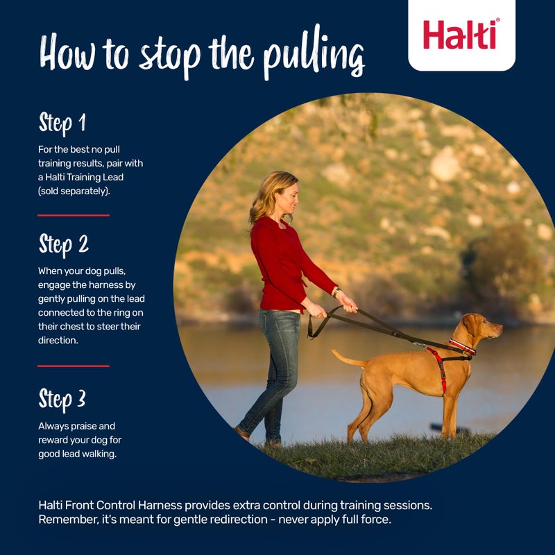 Halti Front Control Harness - Stop Your Dog Pulling on the Leash. Adjustable, Lightweight and Easy to Use. Anti-Pull Dog Training Harness for Large Dogs (Size L) - Image 5